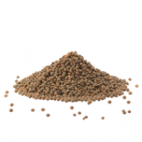Legumes